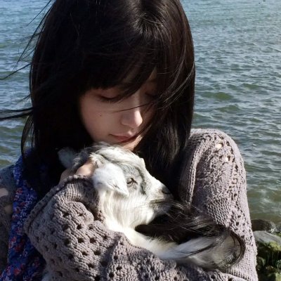 犯罪元素